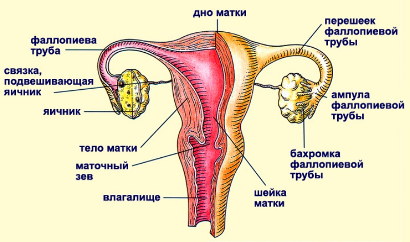 непроходимость маточных труб лечение